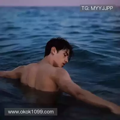 蓬盈晓